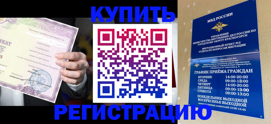 временная регистрация собственник в Елизово